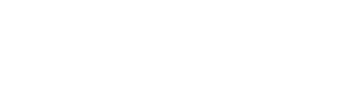 Logo MindRise